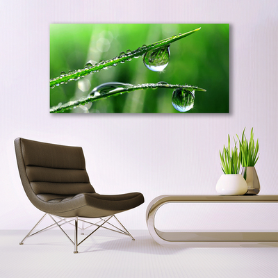 Canvas print Grass dew drops floral green