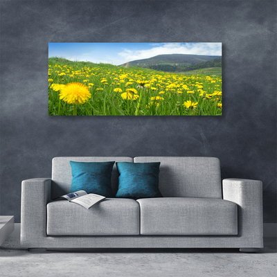 Canvas print Dandelion field nature yellow green blue