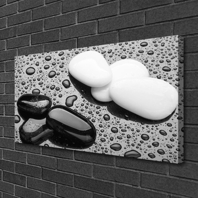 Canvas print Stones art black white