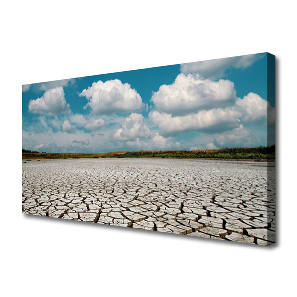 Canvas print Dried river bed landscape brown blue white