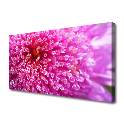 Canvas print Flower floral pink