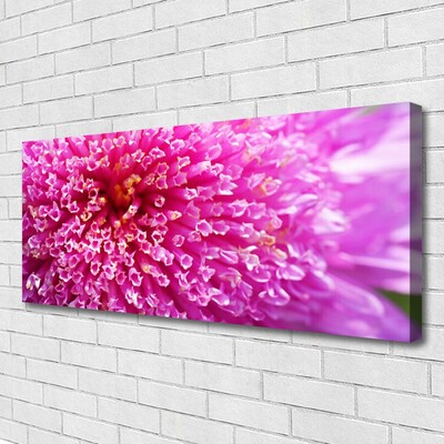 Canvas print Flower floral pink