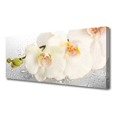 Canvas print Flowers floral white grey