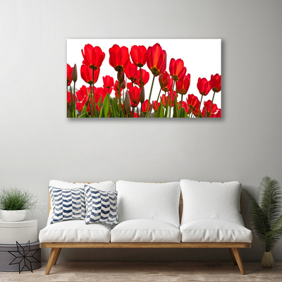 Canvas print Flowers floral red green white