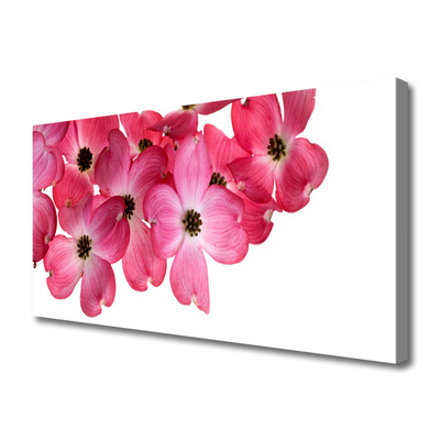 Canvas print Flowers floral pink white