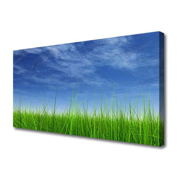 Canvas print Sky grass nature blue green