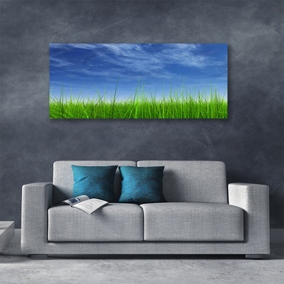 Canvas print Sky grass nature blue green