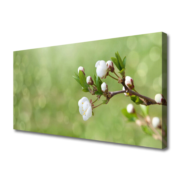 Canvas print Flowers floral green white