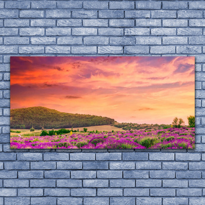 Canvas print Meadow flowers landscape purple green pink