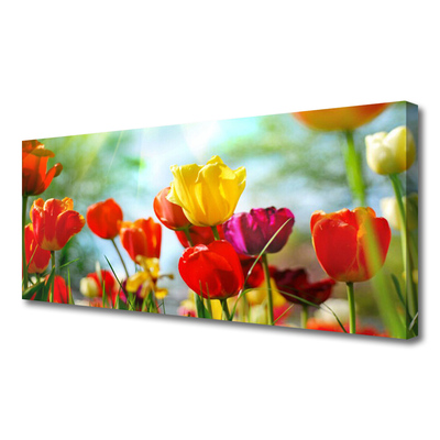Canvas print Flowers floral red yellow pink green