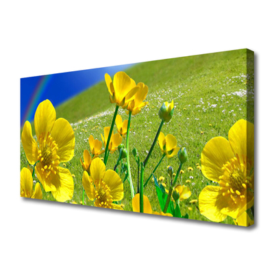 Canvas print Meadow flowers rainbow nature yellow blue green