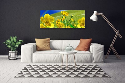 Canvas print Meadow flowers rainbow nature yellow blue green