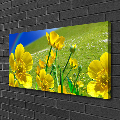 Canvas print Meadow flowers rainbow nature yellow blue green