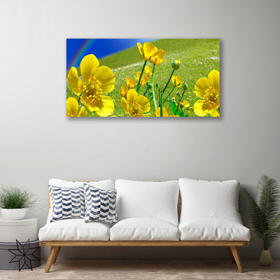 Canvas print Meadow flowers rainbow nature yellow blue green