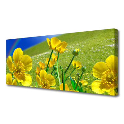 Canvas print Meadow flowers rainbow nature yellow blue green