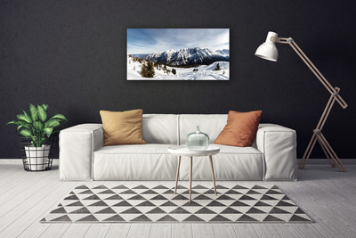Canvas print Mountains landscape white green grey
