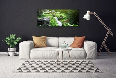 Canvas print Brook grasses nature green white grey