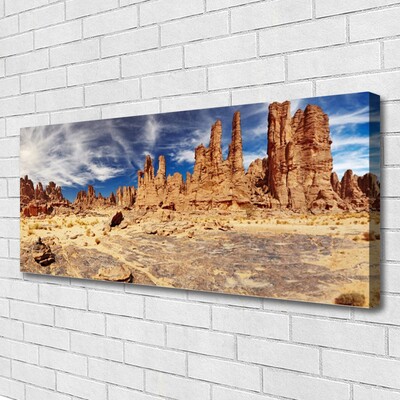 Canvas print Desert landscape brown white blue