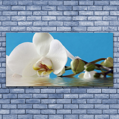 Canvas print Flower floral white green blue