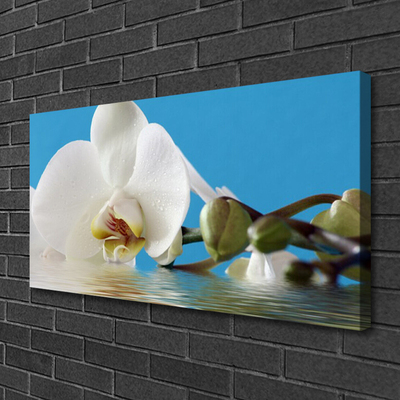 Canvas print Flower floral white green blue