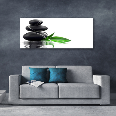 Canvas print Stones leaves water art black green white