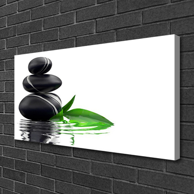 Canvas print Stones leaves water art black green white