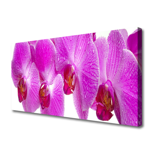 Canvas print Flowers floral pink