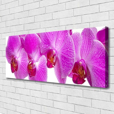 Canvas print Flowers floral pink