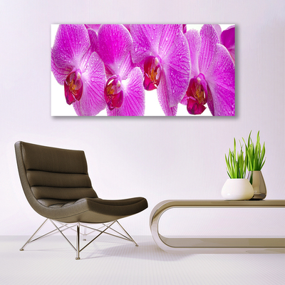 Canvas print Flowers floral pink