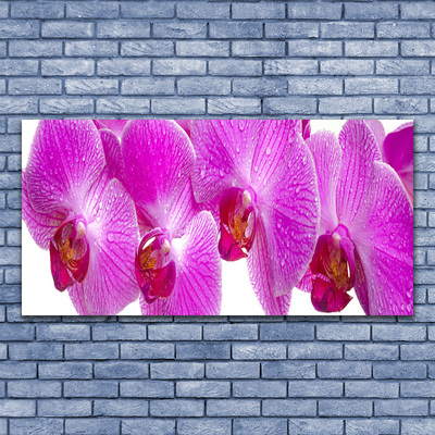 Canvas print Flowers floral pink