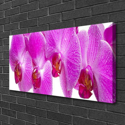 Canvas print Flowers floral pink