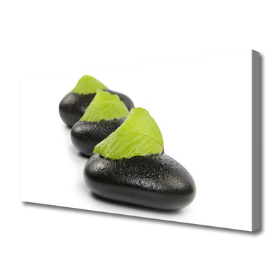 Canvas print Stones art black green white