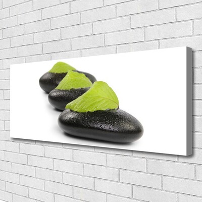 Canvas print Stones art black green white