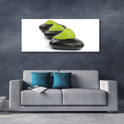 Canvas print Stones art black green white