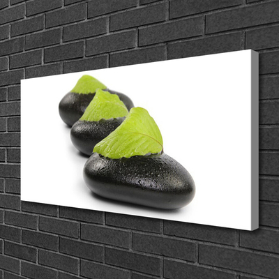 Canvas print Stones art black green white