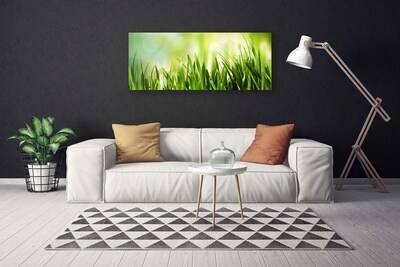 Canvas print Grass nature green