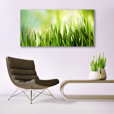 Canvas print Grass nature green