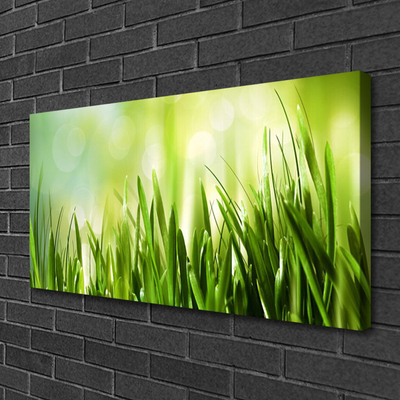 Canvas print Grass nature green