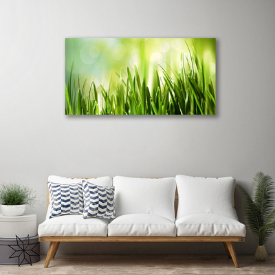 Canvas print Grass nature green