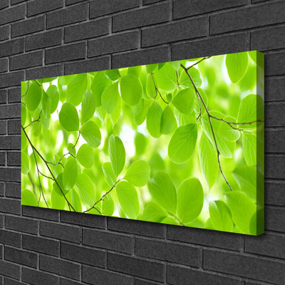 Canvas print Leaves nature green