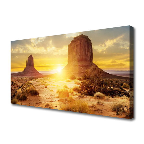 Canvas print Desert sun landscape yellow brown green
