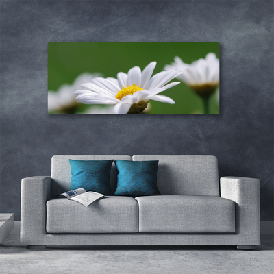 Canvas print Daisy floral white yellow green