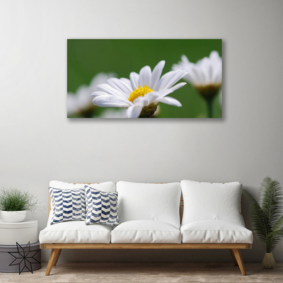 Canvas print Daisy floral white yellow green