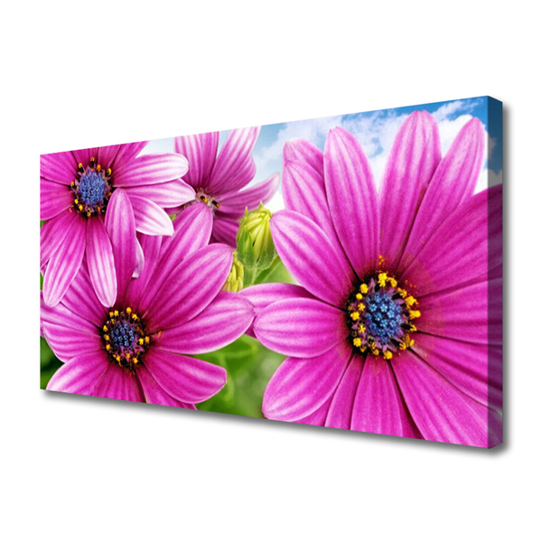 Canvas print Flowers floral pink yellow blue