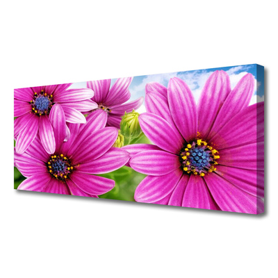 Canvas print Flowers floral pink yellow blue