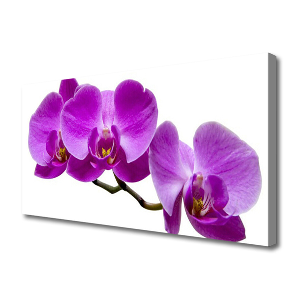 Canvas print Flowers floral purple brown