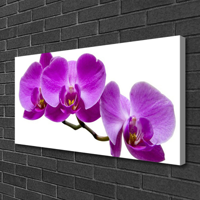 Canvas print Flowers floral purple brown