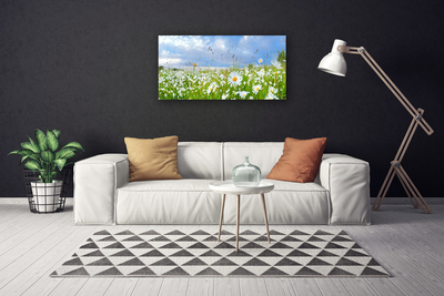 Canvas print Meadow daisies nature white yellow green blue
