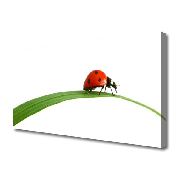 Canvas print Ladybug floral black red green