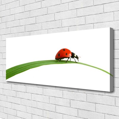 Canvas print Ladybug floral black red green